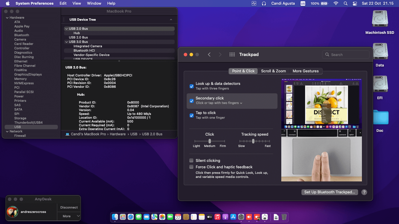 Lenovo Thinkpad T440P 2nd [Haswell   Intel HD 4400 + PS2]   OpenCore 5